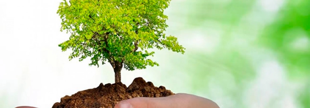 Entenda a importância da norma ISO 14000 para o seu negócio